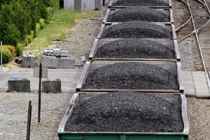 Coal auction