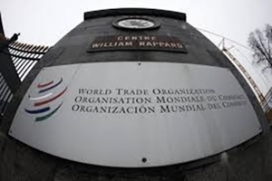 Some developed nations, especially the US, have been vigorously pushing for the inclusion of new topics such as e-commerce and government procurement for negotiations at the WTO. (Reuters)