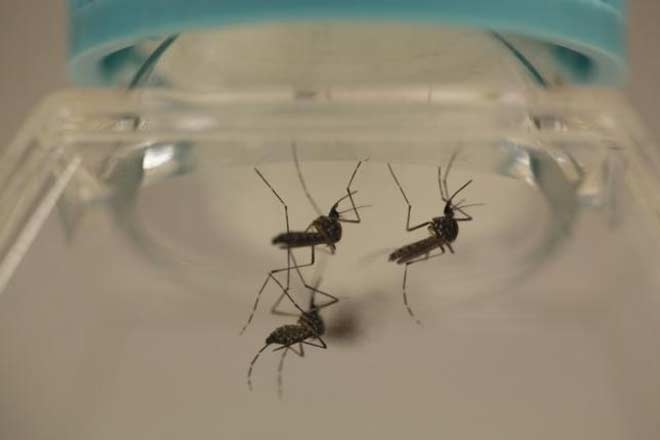 In 2006, over 13 lakh suspected chikangunya fever cases were reported across the country, according to National Vector Borne Disease Control Programme (NVBDCP).