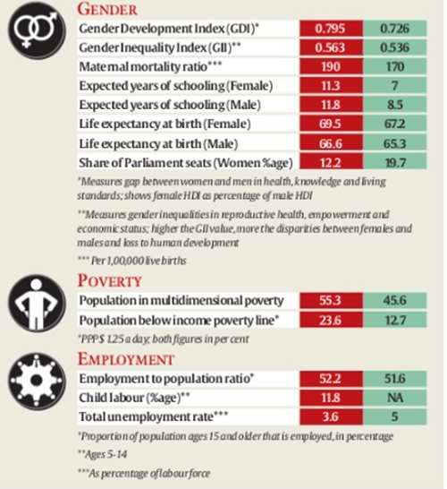 How India and Pakistan compare on various indicators under Human