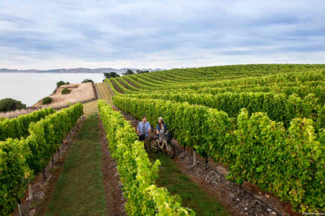 New Zealand emerged as a favourite among Indian travellers, witnessing a growth of 52 per cent in travel searches from last year