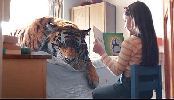 The J. Walter Thompson London film shows a family nursing back an injured tiger to health and the teary goodbye as the big cat returns to the wild. 