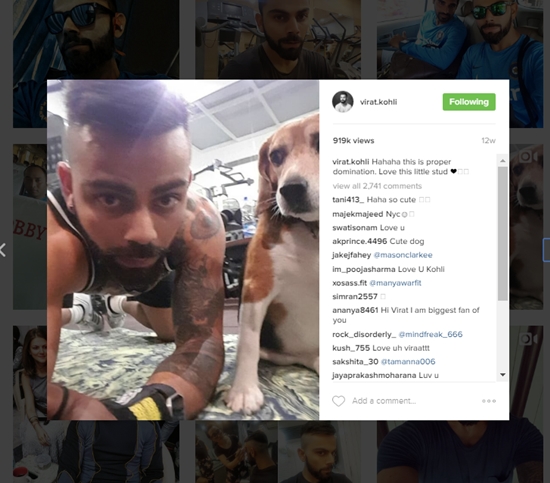 kohli-dog-1