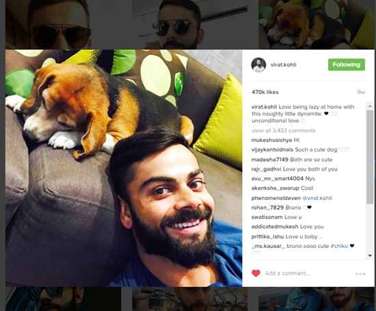 kohli-dog-2