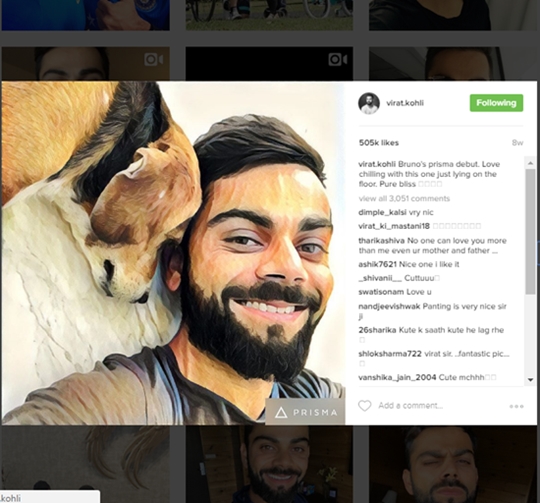 kohli-dog-3