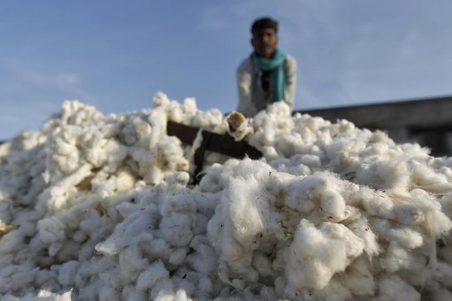 Keeping sustainability at the core and in line with the clean environment campaign of the Government, Welspun has also set up a Rs 100-crore 30 MLD waste water treatment facility at Welspun City, Anjar in Kutch district. (Reuters)