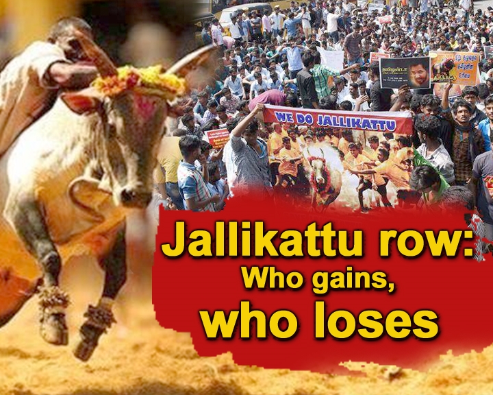 jallikattu_protest