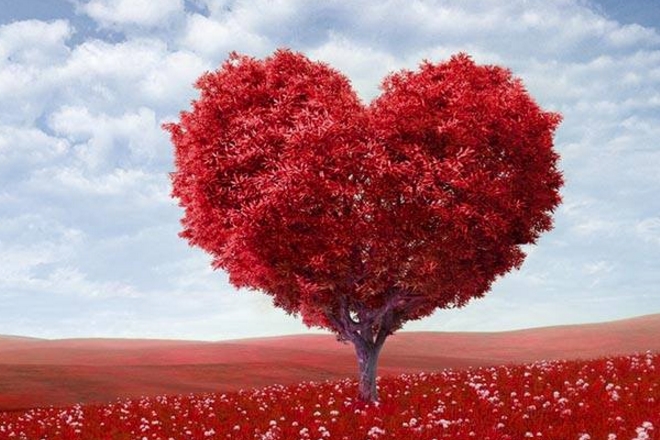 valentine's day, valentine's day wishes, valentine's day photos, valentine's day whatsapp wishes, valentine's day facebook, valentine's day texts, valentine's day messages romantic, valentine's day greetings, valentine's day sms romantic, valentine's day gift