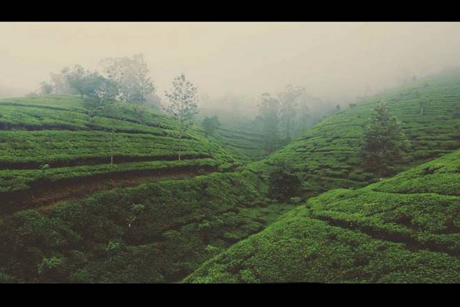 Samse, Chikmagalur (Facebook/Incredible Karnataka)