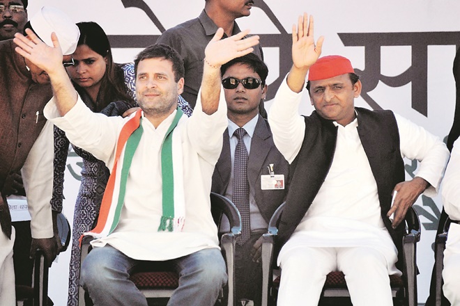 akhilesh yadav, akhilesh modi, modi akhilesh, akhilesh donkey, donkey akhilesh, akhilesh on modi, donkeys of gujarat, uttar pradesh assembly elections, up assembly election, up election, uttar pradesh assembly elections 2017, up elections , uttar pradesh news, up news
