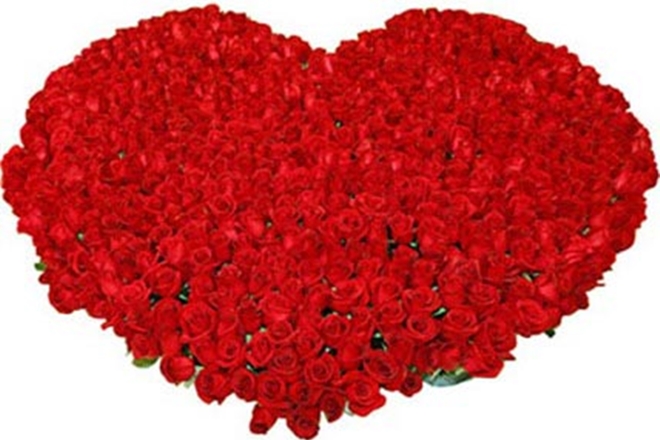 Valentine's day, valentine's day roses, valentine's day gifts, valentine's day bouquets, valentine's day expensive gifts, valentine's day most expensive gifts, most expensive flowers, valentine's day flowers, valentine's day flowers cost, roses cost, roses bouquets