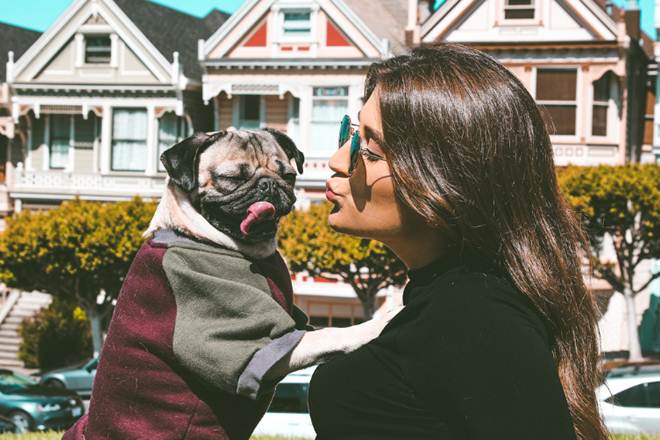 Doug, Doug the Pug, 8 mn followers, 8 mn followers social media, Leslie Mosier, Doug the Pug Facebook, Doug the Pug Instagram, Doug the Pug Twitter, Doug the Pug photos, Doug the Pug videos, Doug the Pug followers, Doug the Pug Tennessee, entertainment