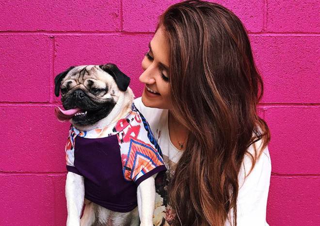 Doug, Doug the Pug, 8 mn followers, 8 mn followers social media, Leslie Mosier, Doug the Pug Facebook, Doug the Pug Instagram, Doug the Pug Twitter, Doug the Pug photos, Doug the Pug videos, Doug the Pug followers, Doug the Pug Tennessee, entertainment