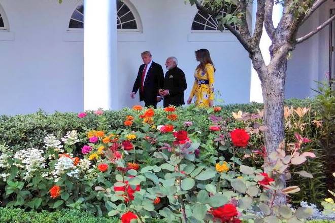 PM Narendra Modi, Donald Trump, PM Narendra Modi Donald Trump meeting live updates, white house, modi trump dinner, modi trump joint statement, modi speech, H1B visa, potus, modi trump press conference, modi trump meet, india us meet, indian delegation, indo-us ties