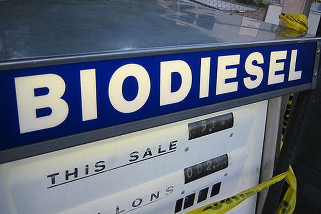 biodiesel in india