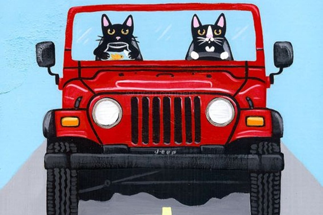 Types of drivers we find everyday on Indian roads