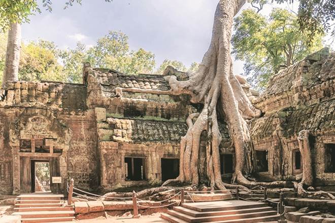 Ta Prohm Temple cambodia