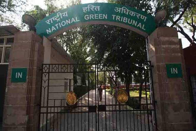 National Green Tribunal, Delhi University, DU walls, NGT