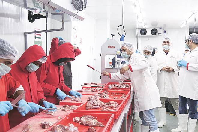 Bengaluru startup, prime cuts, meat market, animal slaughter, quality of meat, quality of meat in market
