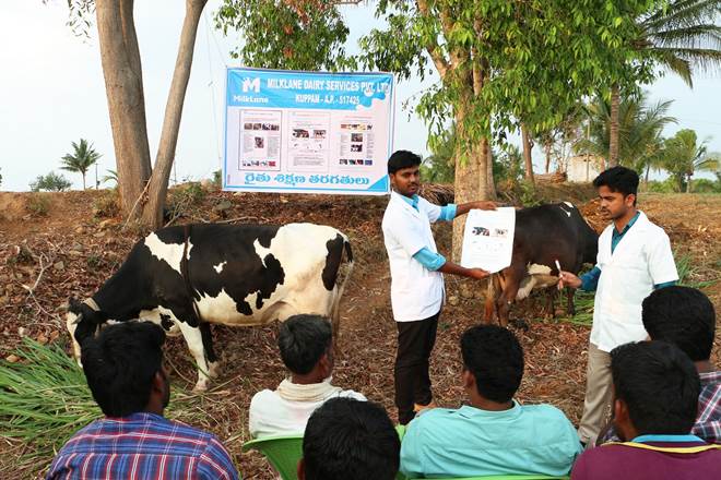 start up dairy, milklane, dairy firm milklane, pioneering ventures, schreiber foods, ultra high net, capital for expansion purpose, milk collection operations