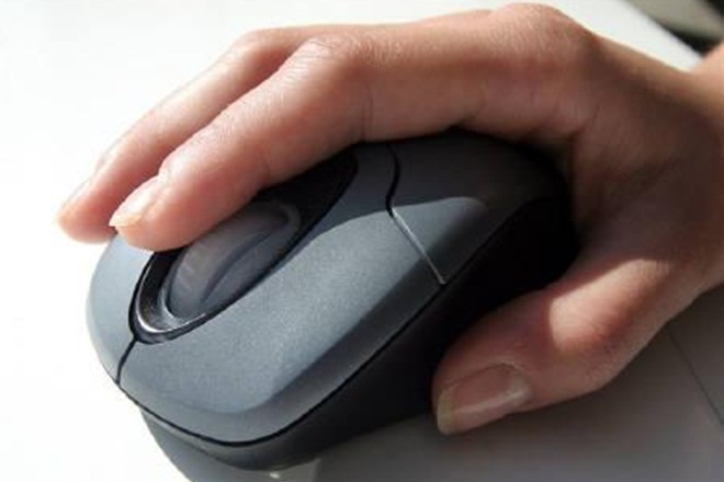 online platform, employee service details, access to employee service details, online platform for service details