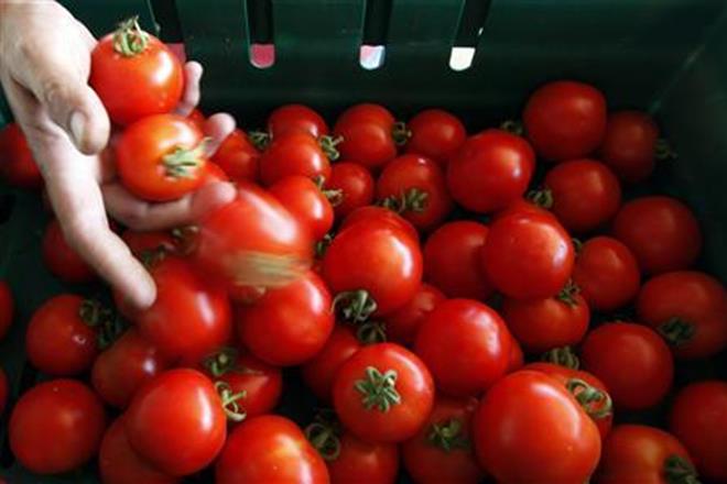 onion, tomato, onion price, tomato price, onion supply, tomato supply, retail price, retail market, vegetable market, tomato market, onion market