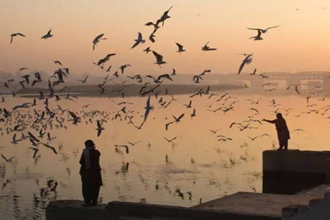 dda, Delhi Development Authority, Yamuna floodplain, biodiversity park, DDA to NGT, National Green Tribunal, ngt