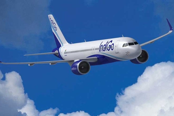 indigo, colombo, direct flight to colombo, indigo flight, non stop flight, aditya ghosh, colombo flights. flights for colombo