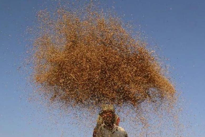 Madhya Pradesh, MSP, MSP deficiency payment scheme