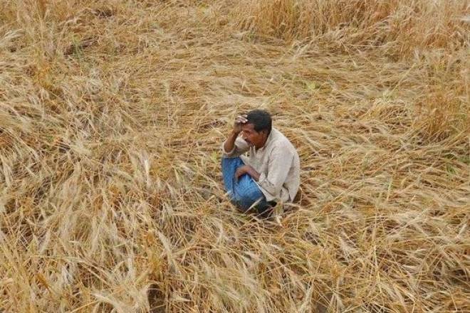agriculture sector, agriculture industry, farming sector, economy