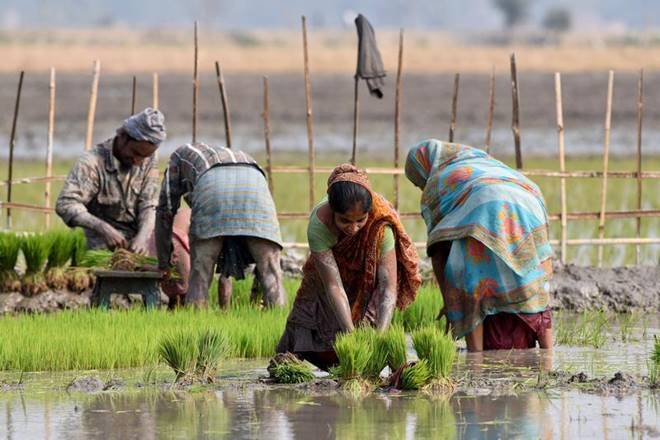 farmers, uttar pradesh