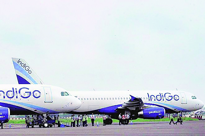 indigo, go air, aviation sector, aviation industry