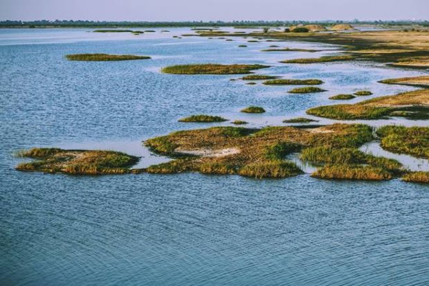 Little Rann of Kutch, Rann of Kutch, White Sand Desert, Greater Rann of Kutch, Wild Ass Sanctuary, Tarnetar no Melo, Modhera Sun Temple, Rann of Kutch tour package, Rann of Kutch tour, Rann of Kutch white sand, Wild Ass Sanctuary tour 