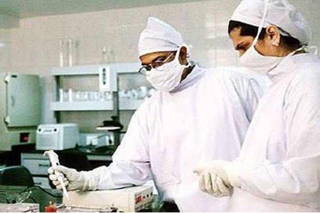 Analyst Corner, Jyothi Labs, Product launches, market, boost volume growth,news