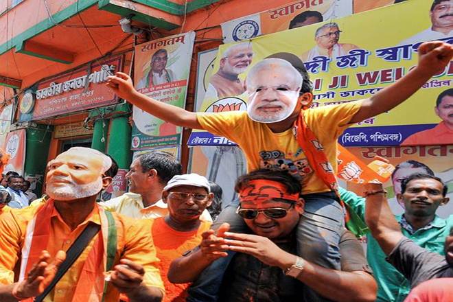 BJP workers celebrates victory (PTI photo)