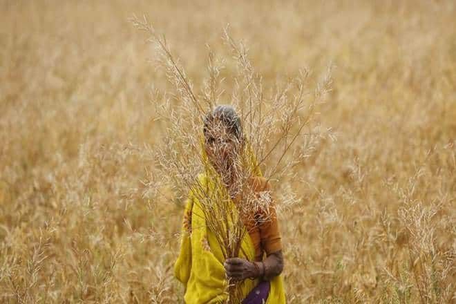 PM Kisan, modi schemes, farmer schemes india, agriculture, agriculture sector, agriculture industry, farmer, PM Kisan scheme, Uttar Pradesh, Election Commission, Aadhaar, BJP,