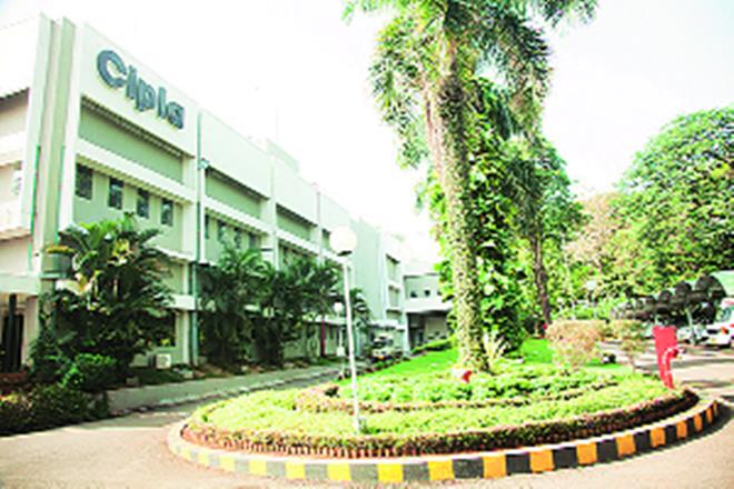 Cipla rating, Cipla shares, Cipla stocks, buy cipla shares, cipla stock buy