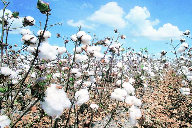 agriculture sector, agriculture industry, maharashtra, maharashtra government