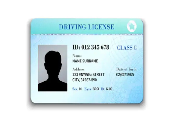driver-license-illustration 660 image