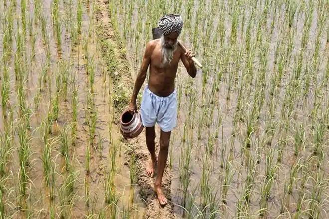 farm distress, agriculture crisis in india, farm distress india, pm kisan, farmer schemes india, Agriculture, poverty reduction , productive agriculture, india agriculture, Growth in agriculture, agriculture in