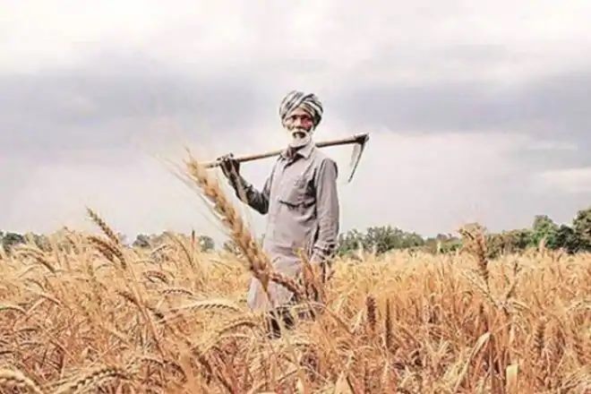 farmer, PM Kisan scheme, Uttar Pradesh, Election Commission, Aadhaar, BJP,