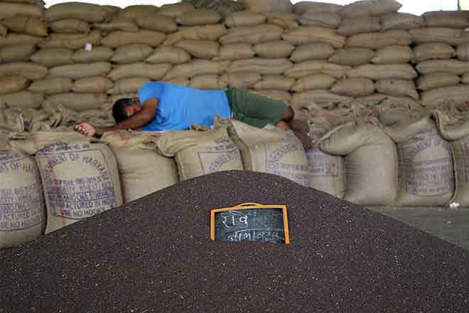 Farm distress, Farmers, Agri GVA, MSP, PM-Kisan, Farmers' income, Agri Budget, NSSO, Rajya Sabha