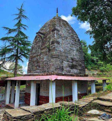 Owing to the lush forests that cover its hillsides, Binsar is home to many varieties of rare wildflowers, birds, and animals.