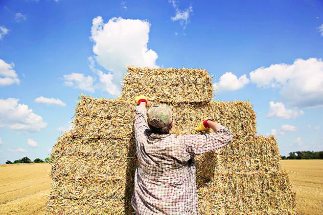 The carry forward stock and the lesser production is likely to impact the supply of ethanol