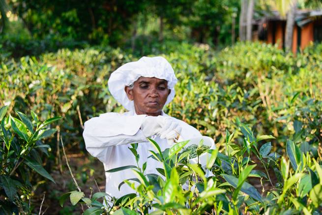 Sri Lanka Tourism, travelling to sri lanka, sri lanka visa, visa free sri lanka, Visa free for Indians, Galle, Sri Lanka airlines, Sri Lanka Hotels, Easter Bombings