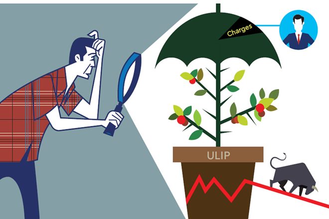 Embedded value, risk, unit linked insurance plan, ulip, Policyholder, money news, NAV, mutual fund,insurance, life insurance