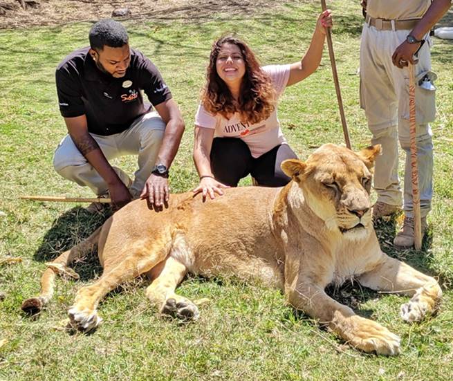 Walking With The Lions in Mauritius