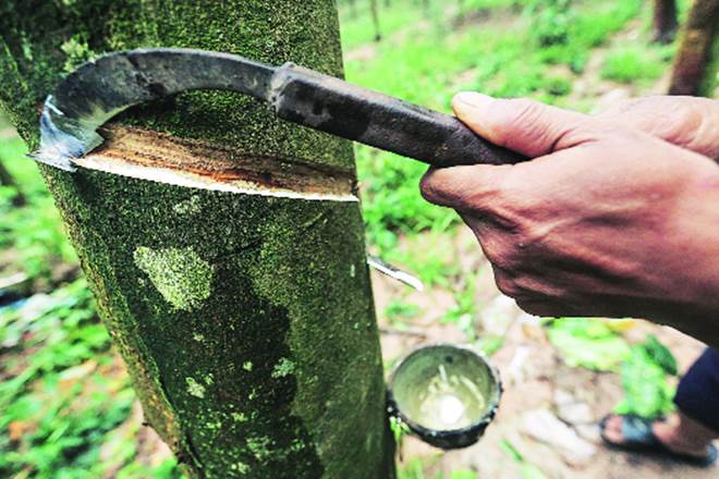 Tyre industry, domestic NR, natural rubber production, rubber supply chain, tyre demand, ATMA, NR imports, NR consumption