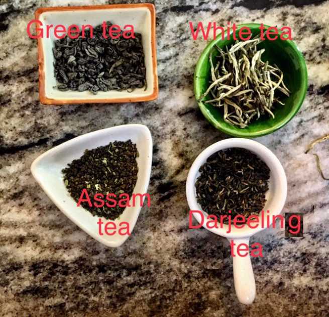 Chai, Tea, assam tea, china tea, green tea, darjeeling tea, Camellia sinensis, Bodhidharma 