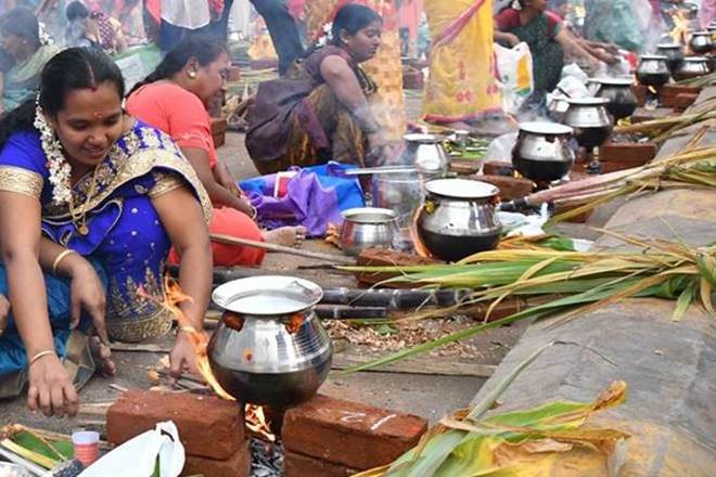 Makar sankranti, pongal, lohri, why do we celebrate Pongal, is pongal a religious festival, is pongal a religious festival, happy pongal, pongal 2020, mattu pongal, pongal dish, pongal 2020, pongal festival, what is pongal festival, Chakkara Pongal, Surya Pongal, Ezhu Thaan Kootu